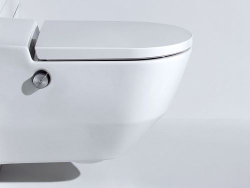 Dusch-WC Cleanet Riva